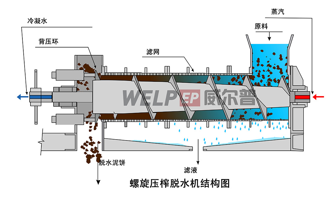 螺旋压榨脱水机结构图